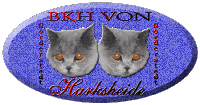 BKH Harksheide