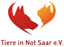 Tiere in Not Saar