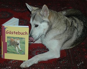 Gstebuch